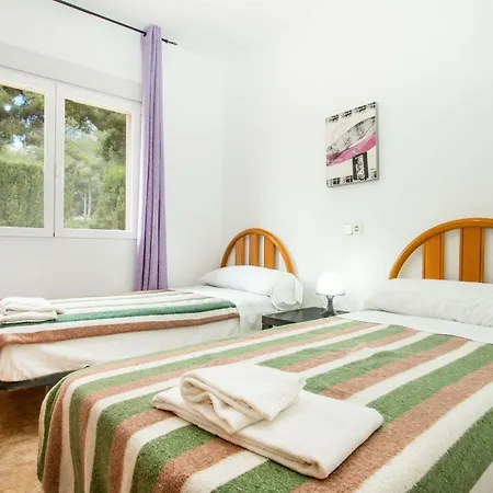 فيلة Zelda - Plusholidays