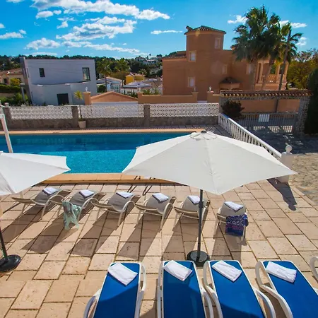 فيلة Zelda - Plusholidays